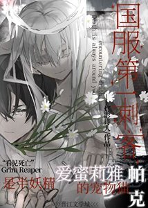 《第一刺客是半妖精的宠物猫》