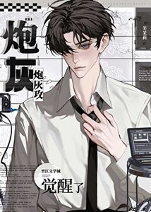 《炮灰攻觉醒了》