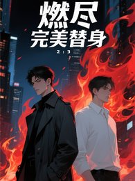 燃尽完美替身