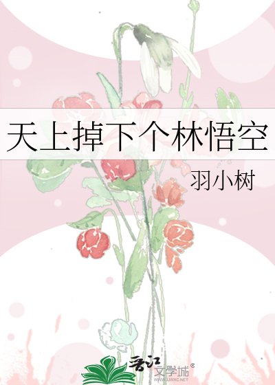 天上掉下个林悟空