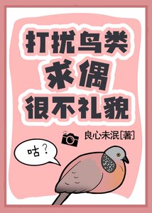 打扰鸟类求偶很不礼貌!