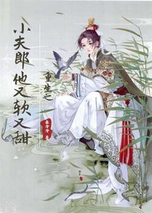 《重生之小夫郎他又软又甜》