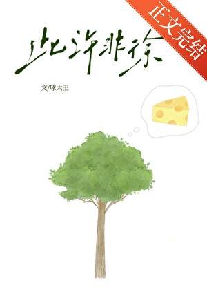 此许非徐