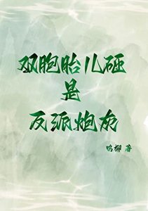 双胞胎儿砸是反派炮灰