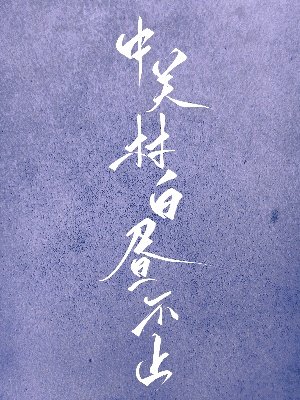 《中关村白昼不止》