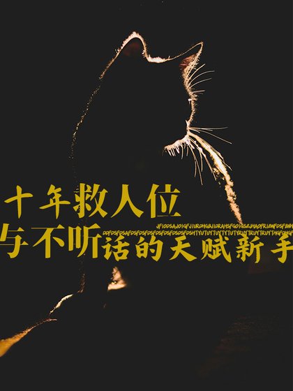 驯服傲娇新手的方法