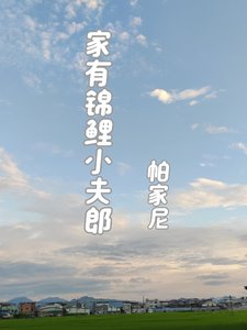 《家有锦鲤小夫郎》