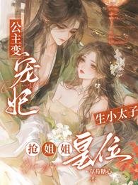 公主变宠妃，生小太子抢姐姐皇位