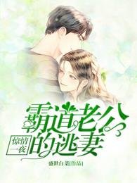 惊情一夜 霸道老公的逃妻