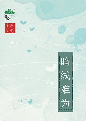 《暗线难为》