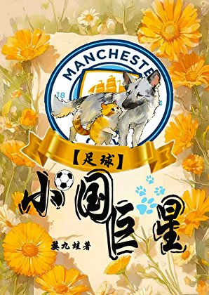 （足球同人）[足球]小国巨星
