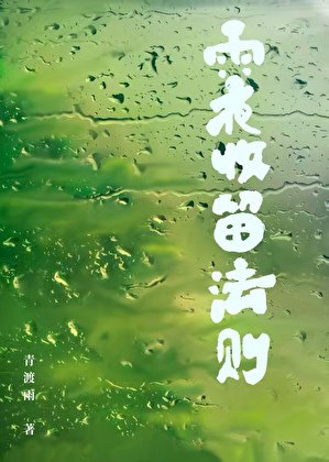 《雨夜收留法则》