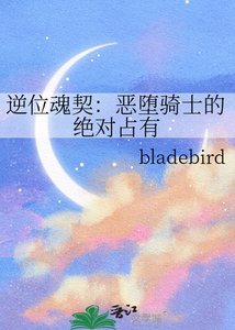 《逆位魂契:恶堕骑士的绝对占有》