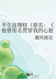 《他曾用名贯穿我的心脏》