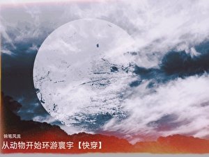 从动物开始环游寰宇[快穿]