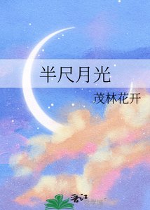 《半尺月光》