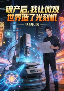 破产后,我让微观世界造了光刻机