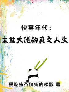 《快穿年代:末世大佬的爽文人生》