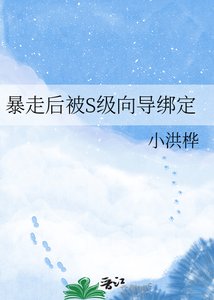 暴走后被S级向导绑定