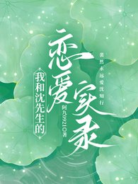 我和沈先生的恋爱实录