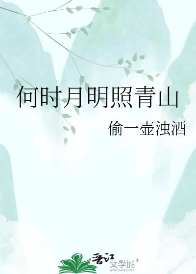 《何时月明照青山》
