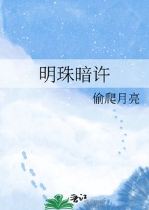 《明珠暗许》