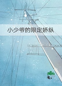 《小少爷的限定娇纵》