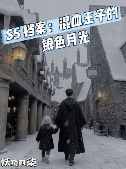 SS档案:混血王子的银色月光