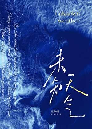 未知天气