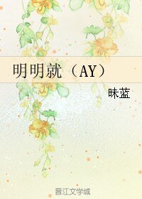 （BL/高达同人）明明就（AY）