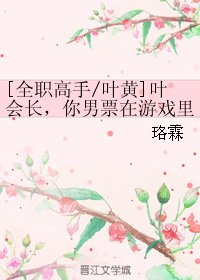 （BL/全职高手同人）叶会长，你男票在游戏里被一叶之秋那个不要脸的男人拐走啦！！