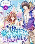 豪门校花VS黑道霸少