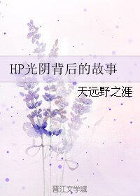 (BL/HP同人)HP光阴背后的故事