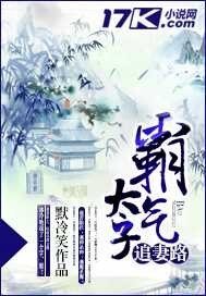 《霸气太子追妻路》