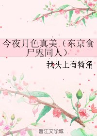 （BL/东京食尸鬼同人）今夜月色真美