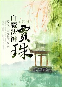 （BG/红楼同人）红楼之白魔法神贾珠