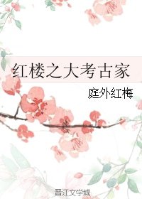 （BG/红楼同人）红楼之大考古家