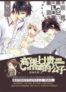 高塔上的贵公子