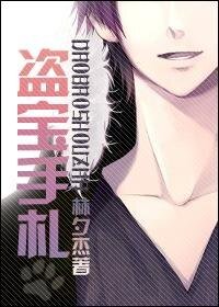《盗宝手札》