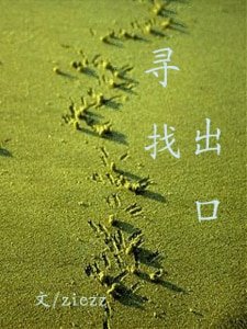 寻找出口