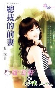 总裁的前妻（二次姻缘之一）