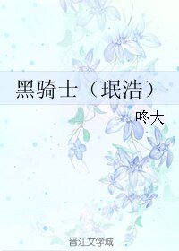 （韩娱同人）黑骑士（珉浩）
