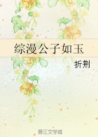 《(综同人)综漫公子如玉》