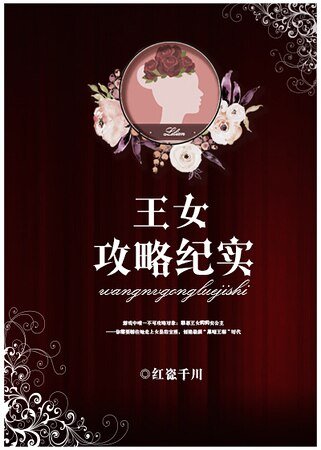 《王女攻略纪实》