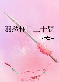 (霹雳同人)羽愁怀旧三十题
