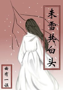 《未雪共白头》