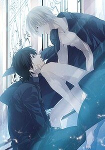 （吸血鬼骑士同人）白蔷薇之王·VK