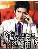 豪门通缉：小丫头，你被捕了！