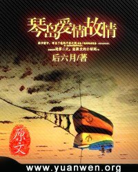 琴岛爱情故事