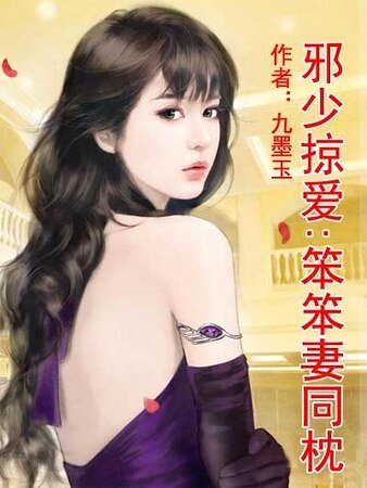 《邪少掠爱:笨笨妻同枕》